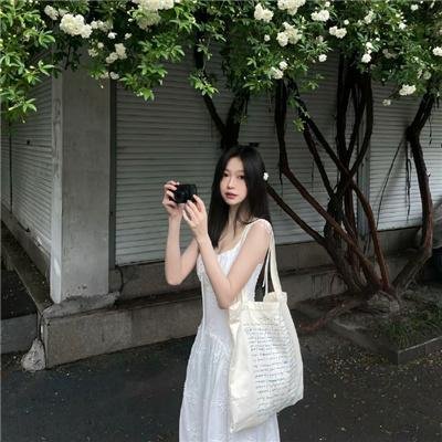 铁耙